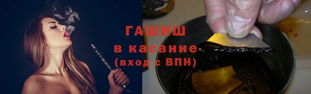 ПСИЛОЦИБИНОВЫЕ ГРИБЫ Вязники